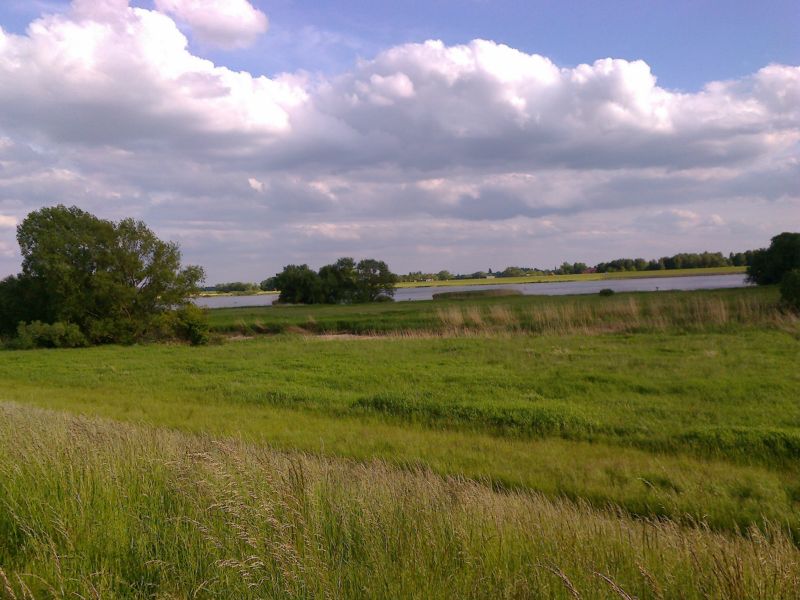 Liegerad und Elbe Zollenspieker